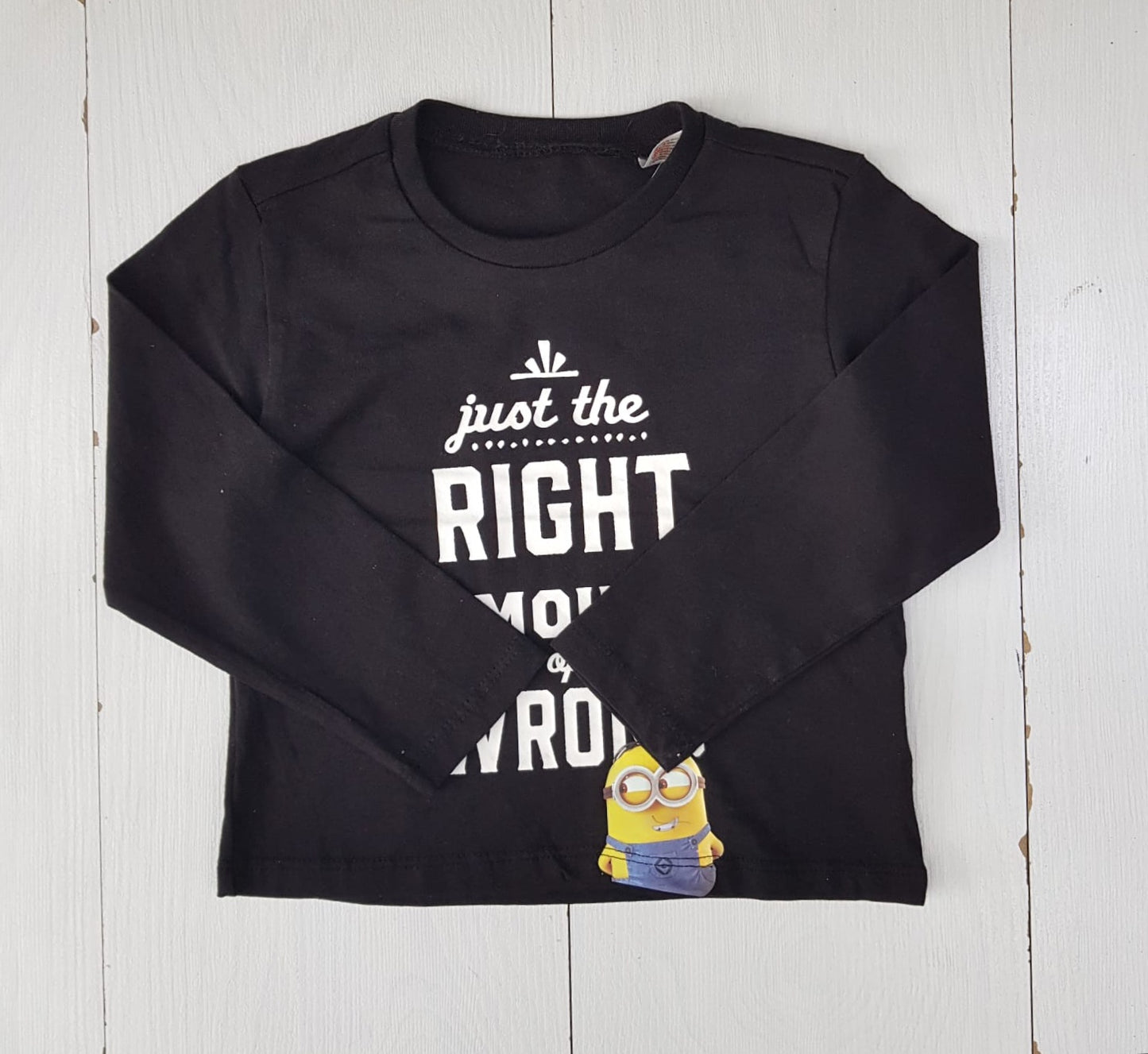 MF-shirtminion